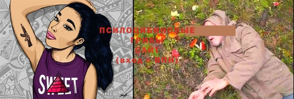 прущая мука Аркадак